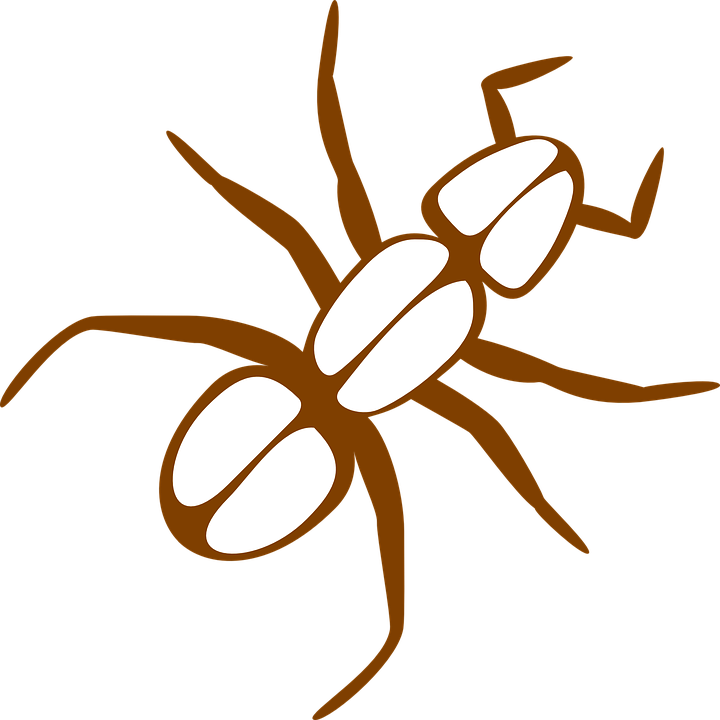 Legs Clipart Ant - Ant Clip Art (720x720)