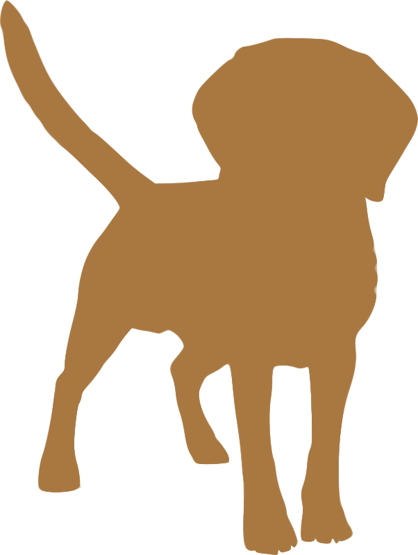 Clipart Silhouette Animaux - Dog Shakes Water Off (602x800)