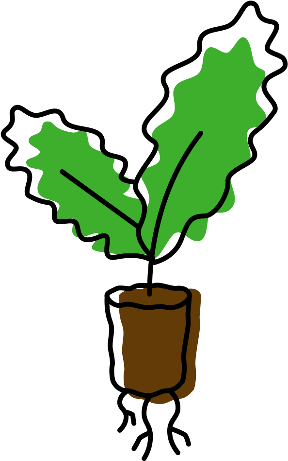 Growing At Home Is The Healthy, Hyper-local Future - Growing At Home Is The Healthy, Hyper-local Future (1080x1080)