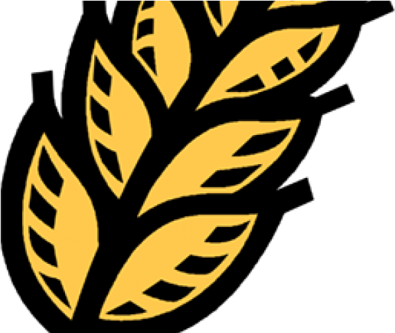 Grain Clipart Oats - Barley (640x480)