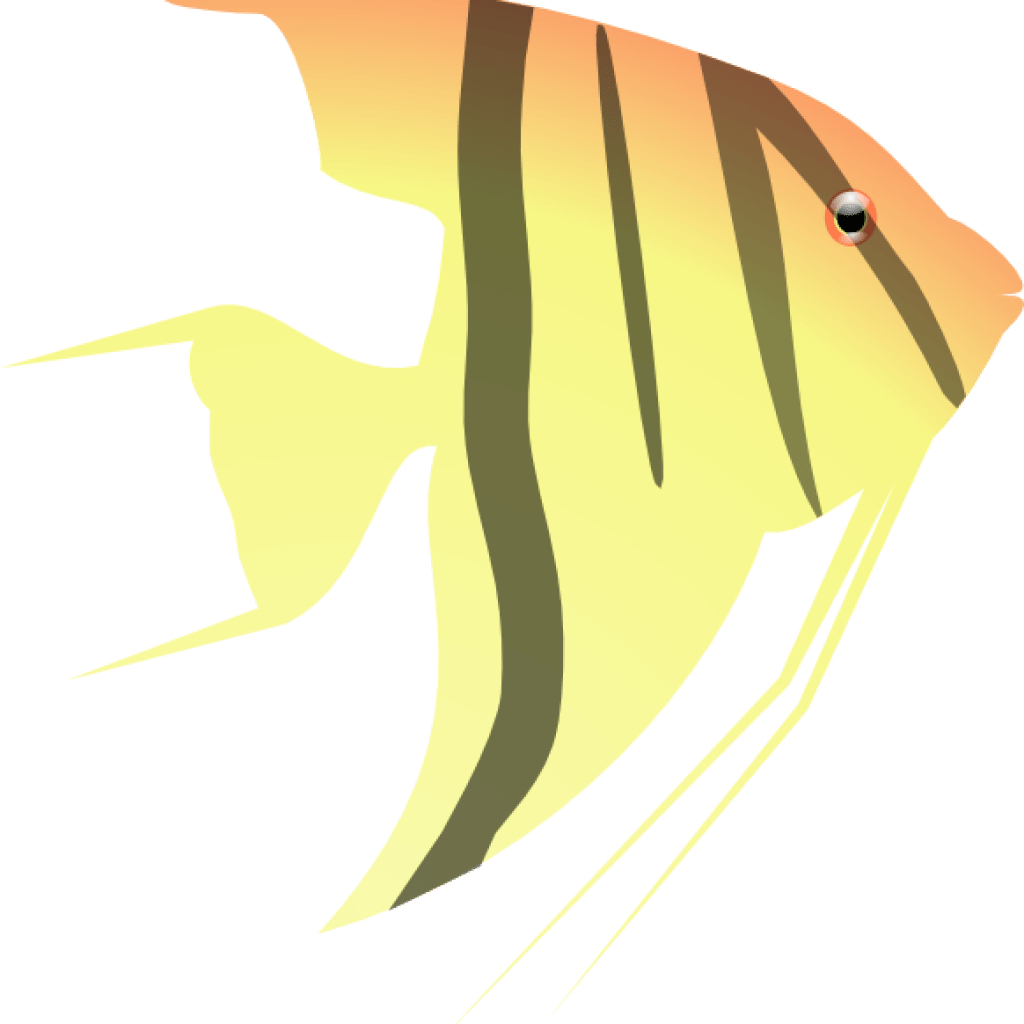 Clipart Turtle Year - Angel Fish Clipart (1024x1024)
