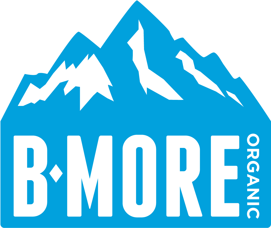 Snowmobile Logo (1100x930)