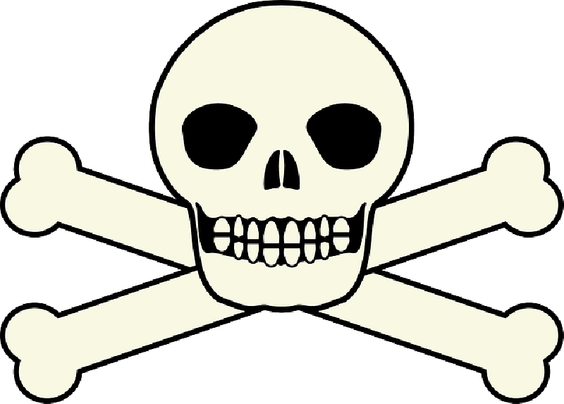 14125 Skull And Bones Clip Art Public Domain Vectors - Esqueleto De Piratas (800x573)