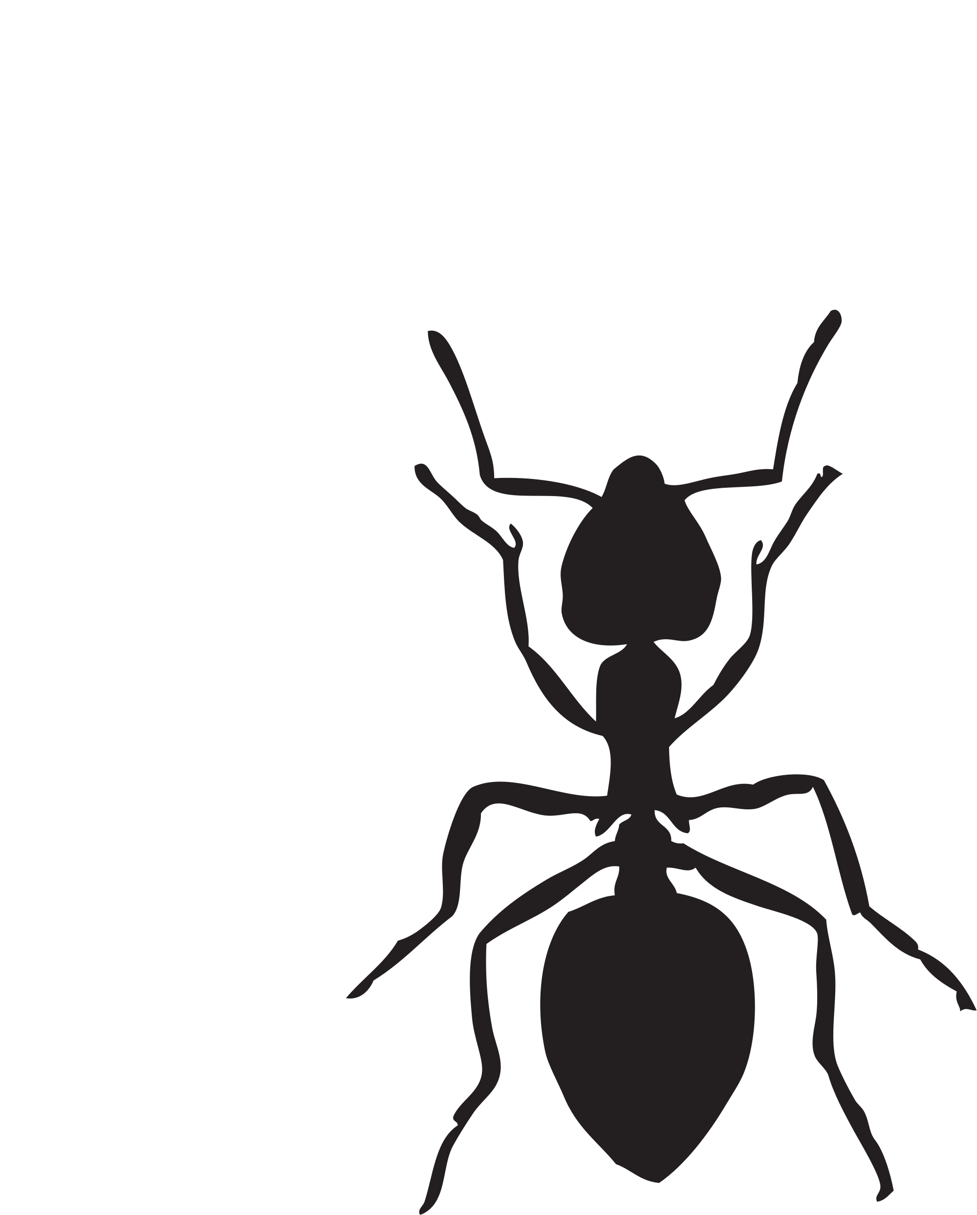 Open - Custom Black Ant Shower Curtain (2000x2492)