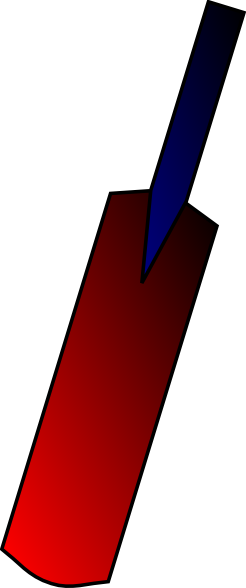 Cricket Clip Art - Cricket Bat Pictures Clip Art (246x588)