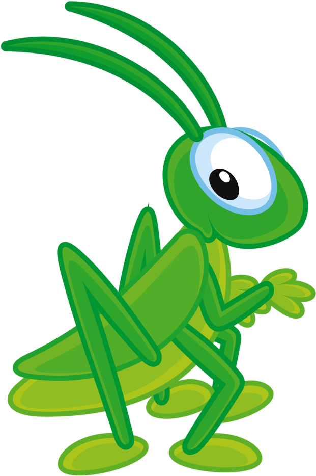 Cute Cricket - Cricket Clipart (703x1024)
