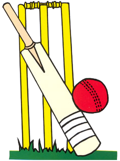 Hastings Cricket Club Is Looking For Expressions Of - Cricket Bat And Ball (400x323)