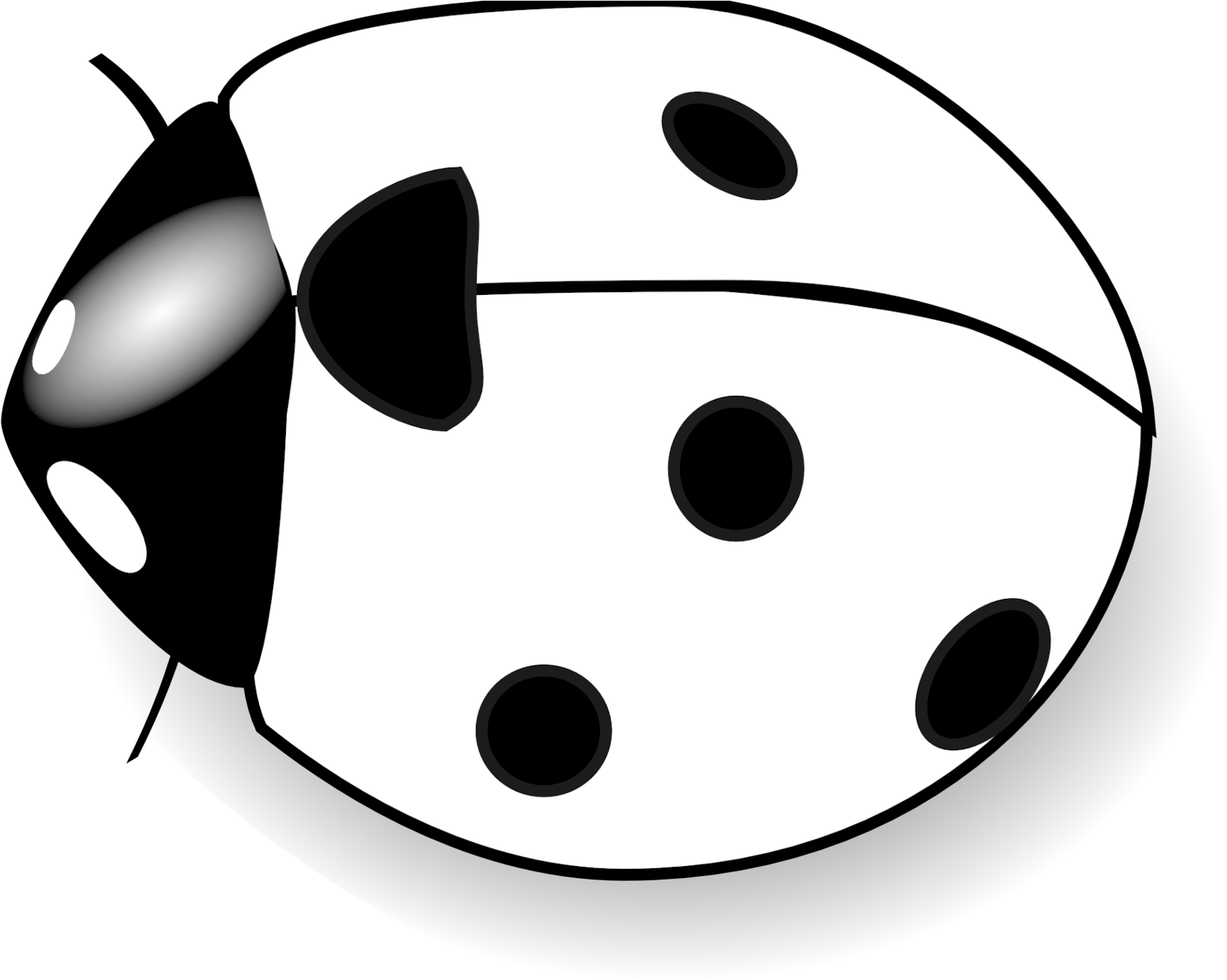 Black Bug Clipart - Clipart Of Lady Bug (1871x1411)