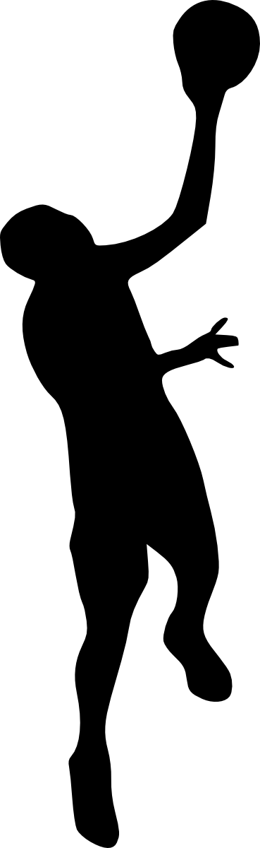 Free Download - Basketball (480x1561)