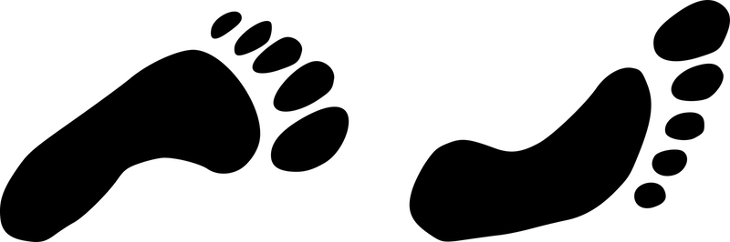 To Buy The Perfect Soccer Shoes Or Cleats, You'll Need - Foot Png (800x266)