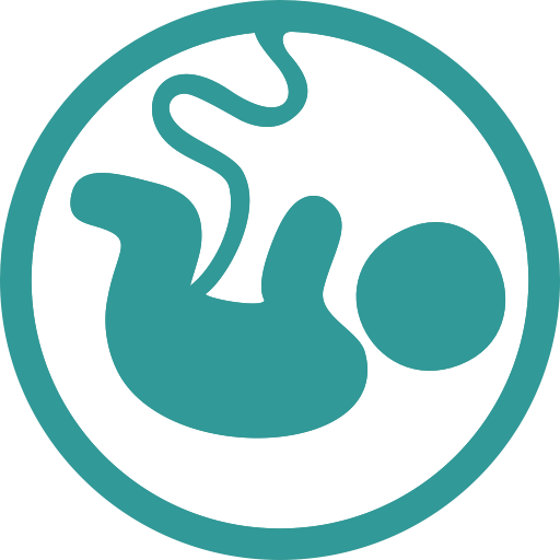 New Baby Gender Reveal Videos - Fetus Icon (512x512)