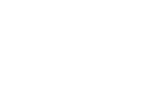 Directors Program - Architecture (500x344)