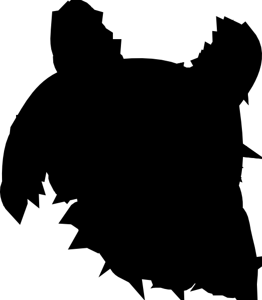 Turkey Hunting (522x598)