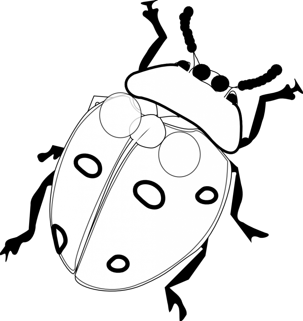Cartoon Clipart Of A Black And White Happy Ladybug - Ladybird Black And White (969x1024)