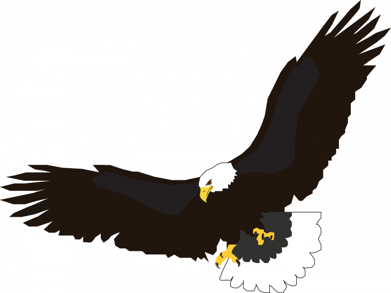 Download Stunning Soaring Eagle Clip Art Free - Download Stunning Soaring Eagle Clip Art Free (768x577)
