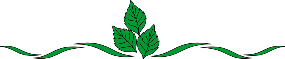 Clip Arts Related To - Leaf Border Design Png (958x199)