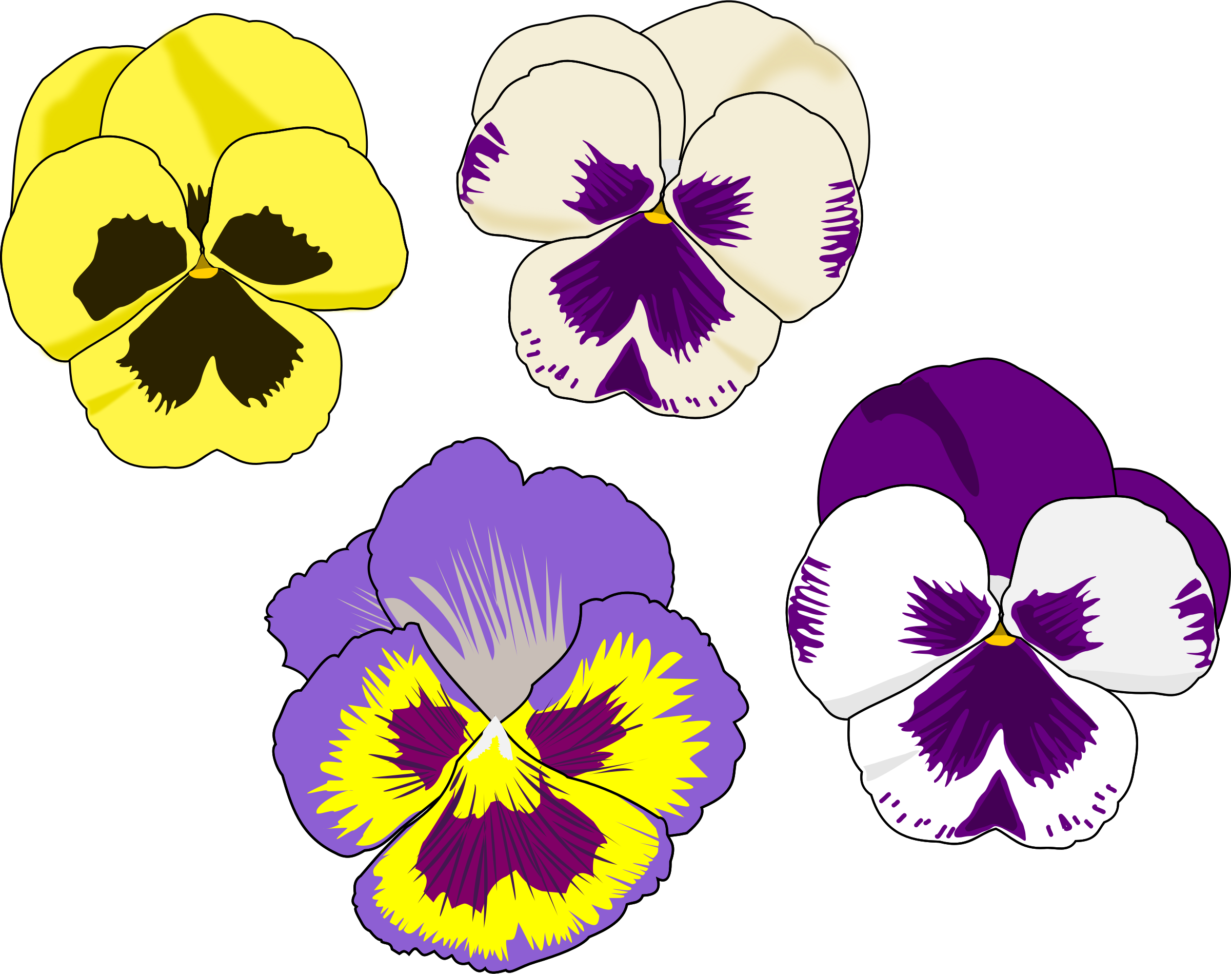 Pansy Clipart - Pansy Flower Clip Art.