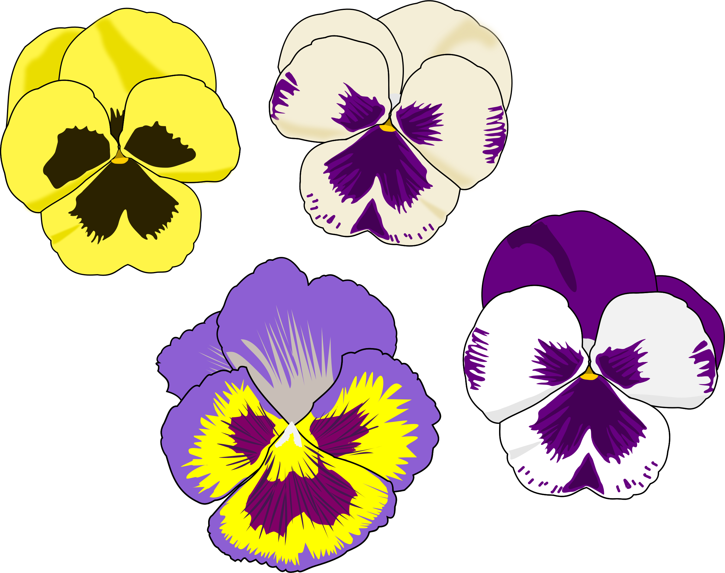 Pansy Clipart - Pansy Flower Clip Art (2400x1898)