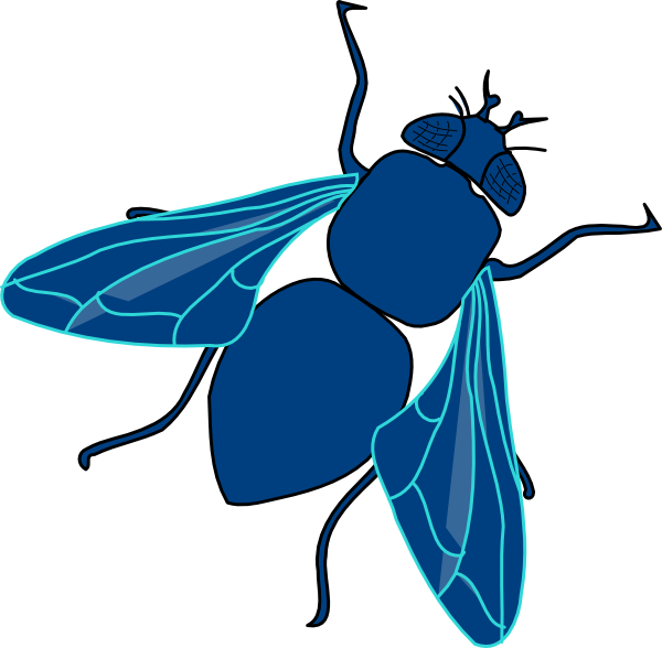 Clipart Images Of A Fly - Cartoon House Fly (600x588)