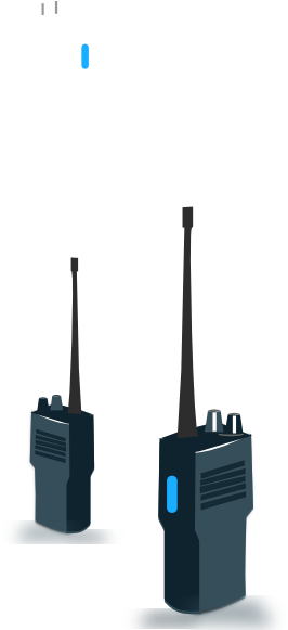 Hand Luggage (462x596)