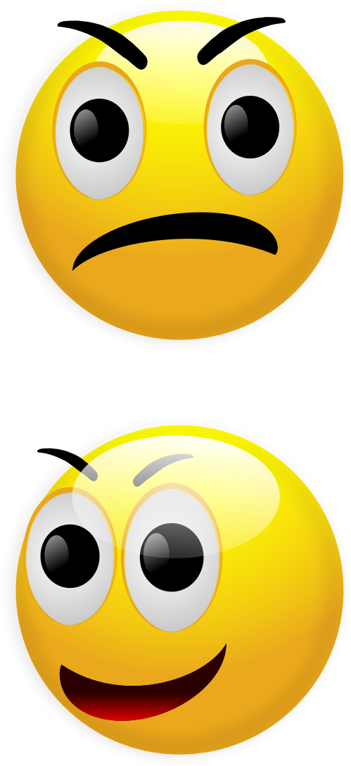 Codes For Insertion - Mad Smiley (580x1200)