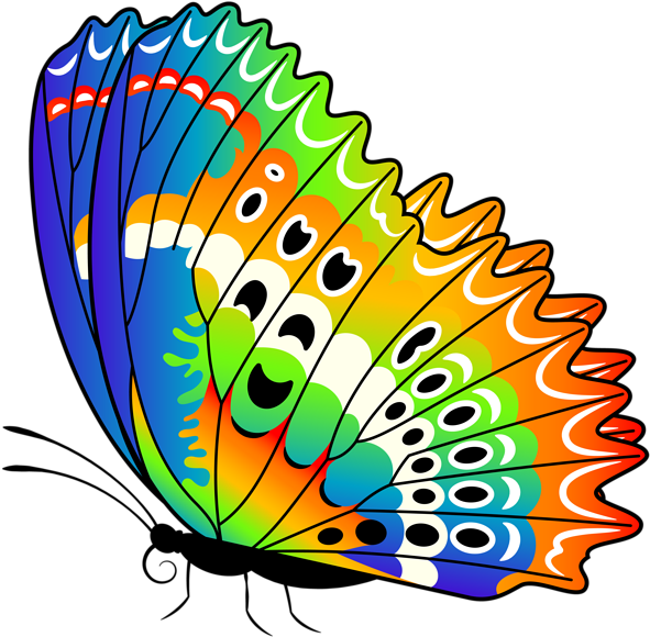 Colorful Butterfly Png Clip Art Image - Clip Art (850x828)