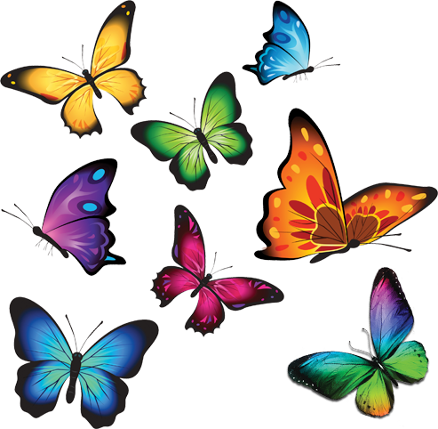 Why Choose Ot - Watercolor Butterfly Clipart (493x482)
