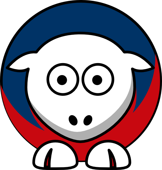 College Football (570x598)