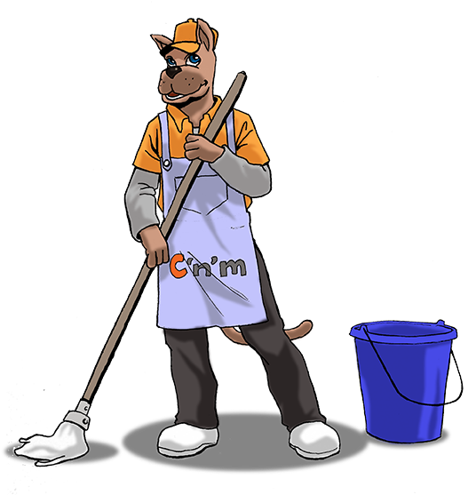Cleaningnmore-mascot - Mascot (600x556)