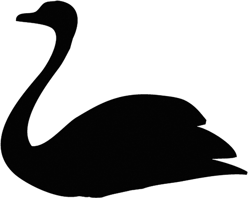 Duck (512x512)