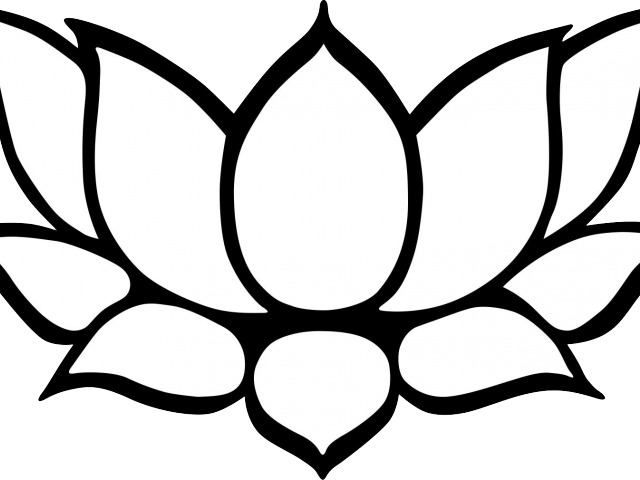 Lotus Clipart Life - Lotus Flower Clipart Black And White (640x480)