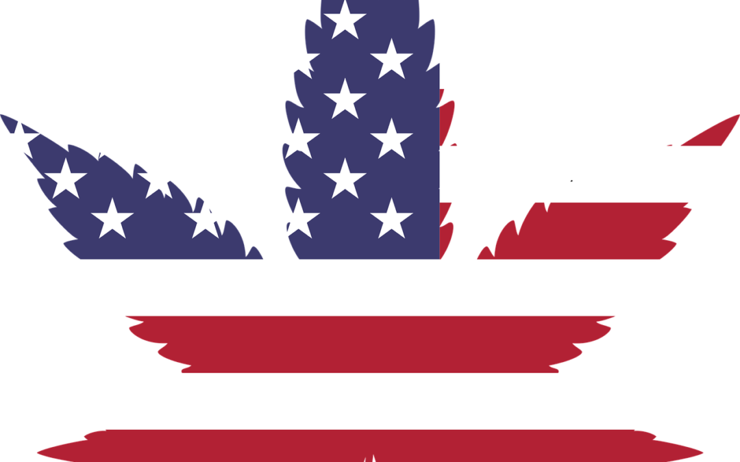 Trump Administration Reigniting War On Cannabis - Usa Weed Leaf Png (1080x675)