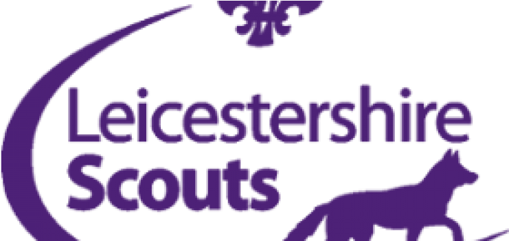 Appointment Process For Managers - Scouting (792x350)