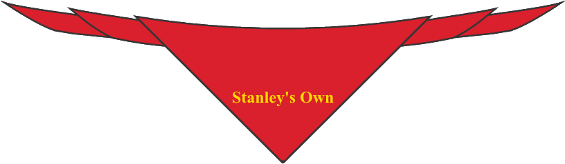 Stanley's Own Scout Scarf - Stanley's Own Scout Scarf (843x279)
