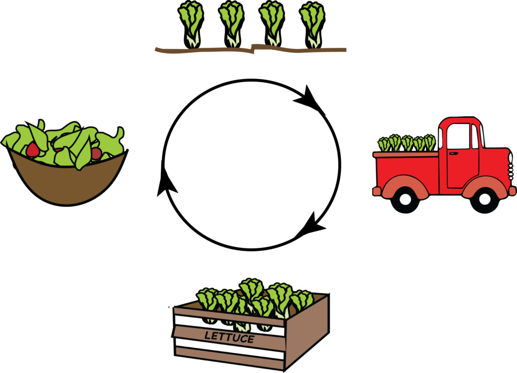 An Edible Education - An Edible Education (1024x739)