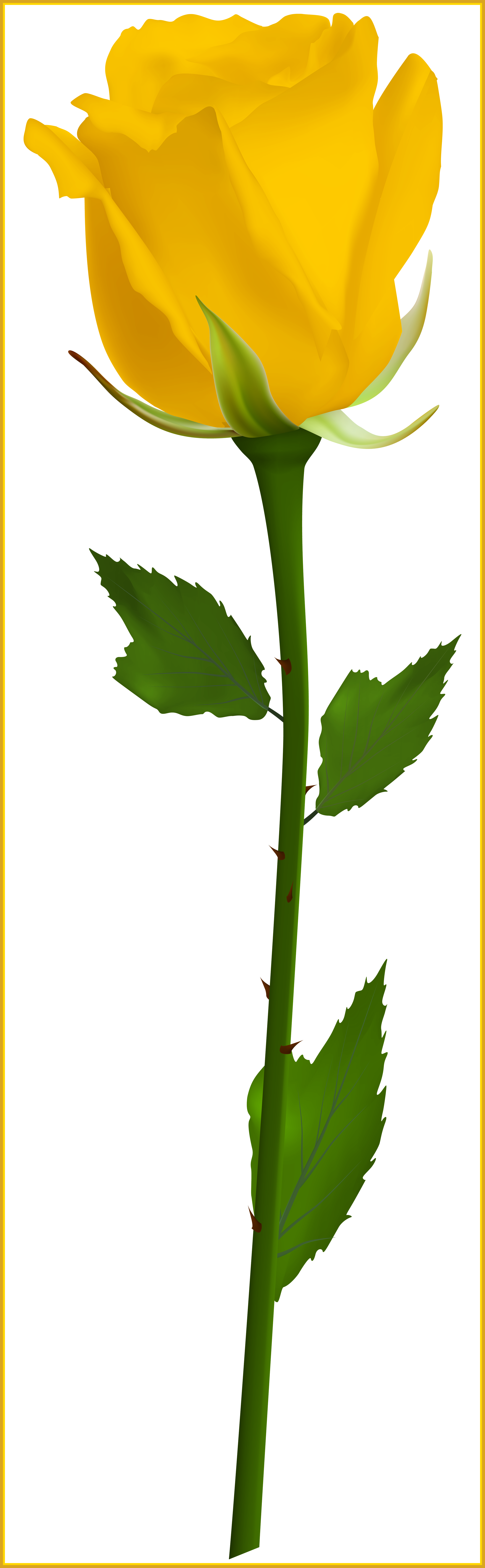 Awesome Clip Art Png Image Primavera Hello Ⓒ - Yellow Rose Clipart Png (2491x8050)