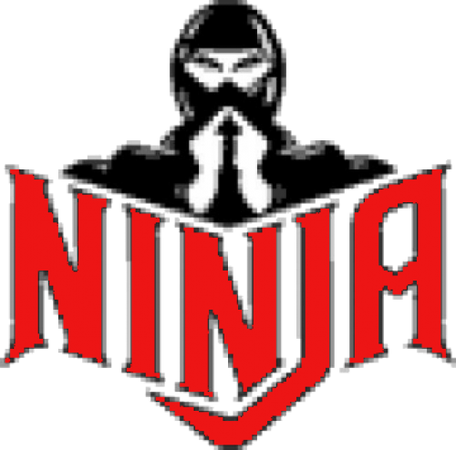 Ninja Six Flags Logo (500x494)
