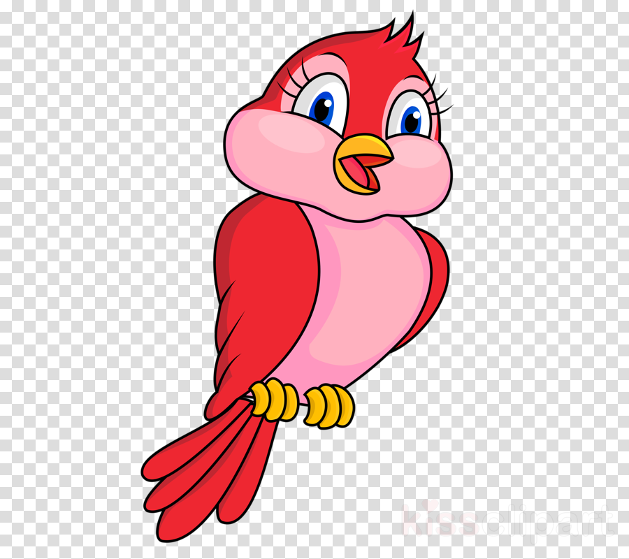 Computer Science Clip Art (900x800)