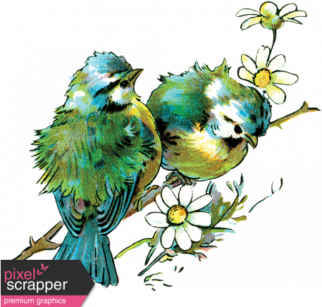 Birds Graphic By Janet Scott - Bendita Sea La Gracia De Dios (456x456)