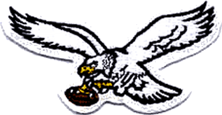 Philadelphia Eagles Iron On Stickers And Peel-off Decals - Golden Eagle (750x930)