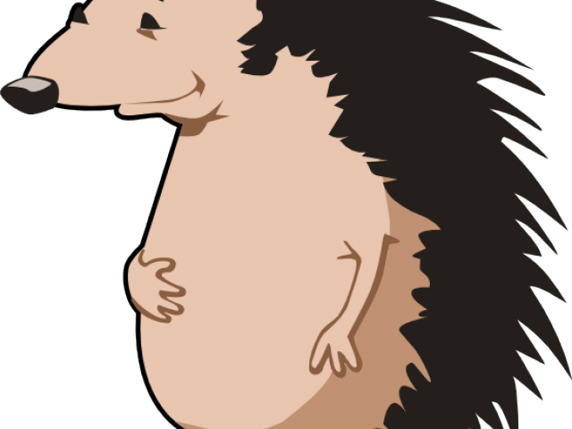 Porcupine Clipart Random - Porcupine Clipart Random (640x480)