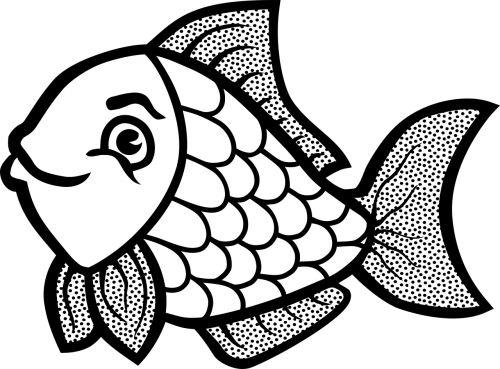 Fish,animal,water,free Vector Graphics - Fish Coloring Png (500x369)