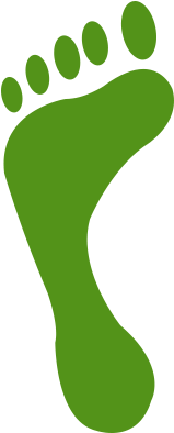 What Can You Study In Student Sharehouse - Footprint (500x500)