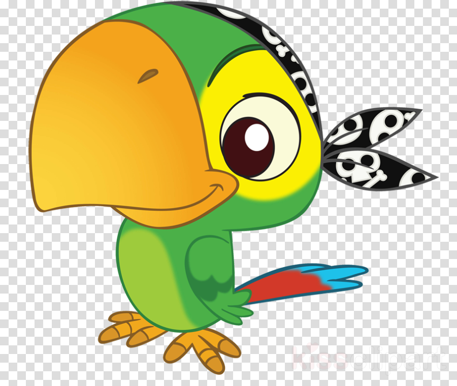 Jake And The Neverland Pirates Parrot Clipart Captain - Jake And The Neverlands Pirate (900x760)