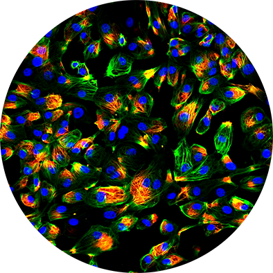 Welcome To The - Circle (394x394)