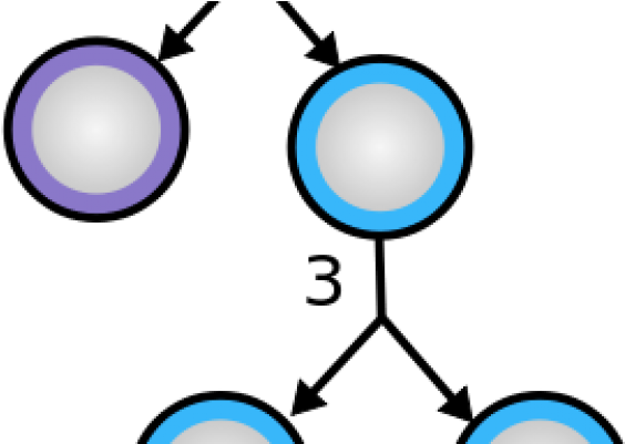 The Procedure - The Procedure (800x400)