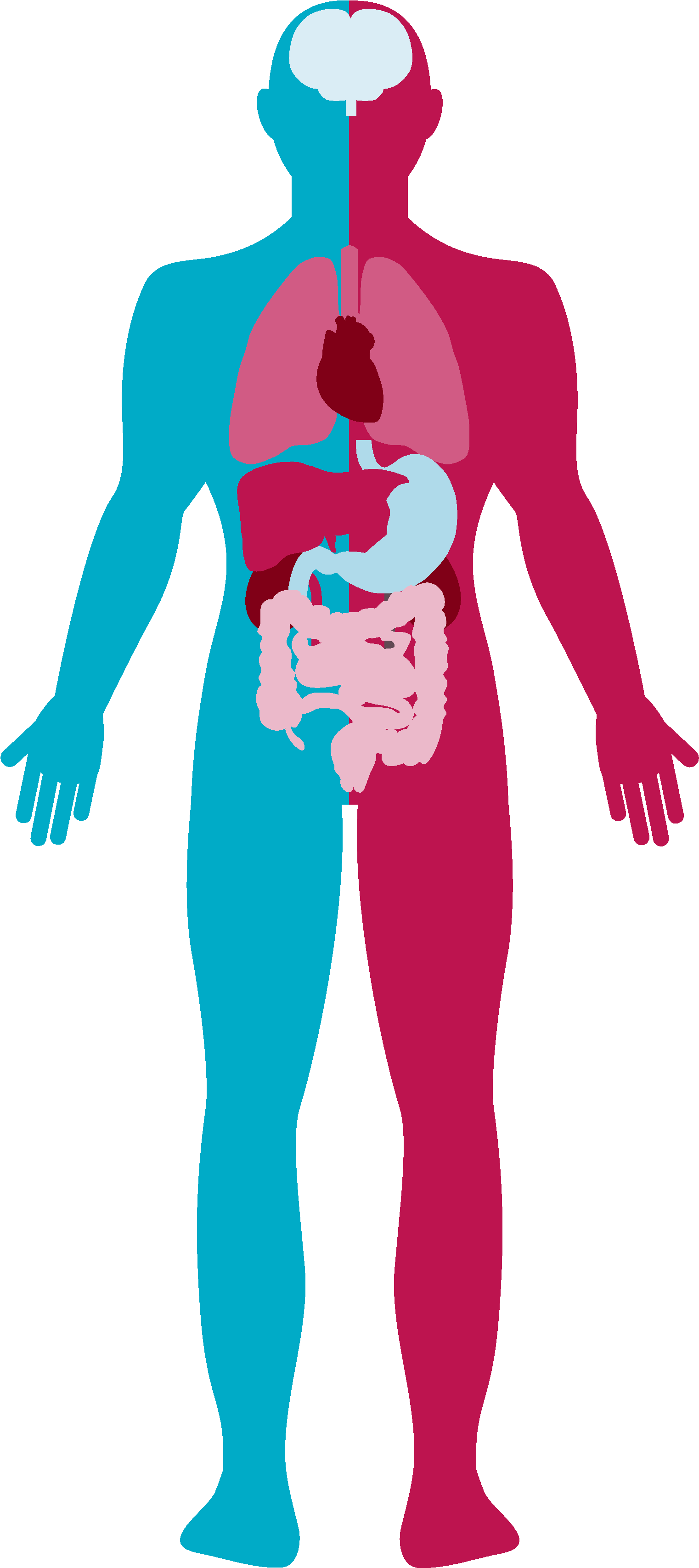 Sickle Cell Anaemia - Illustration (2480x3508)