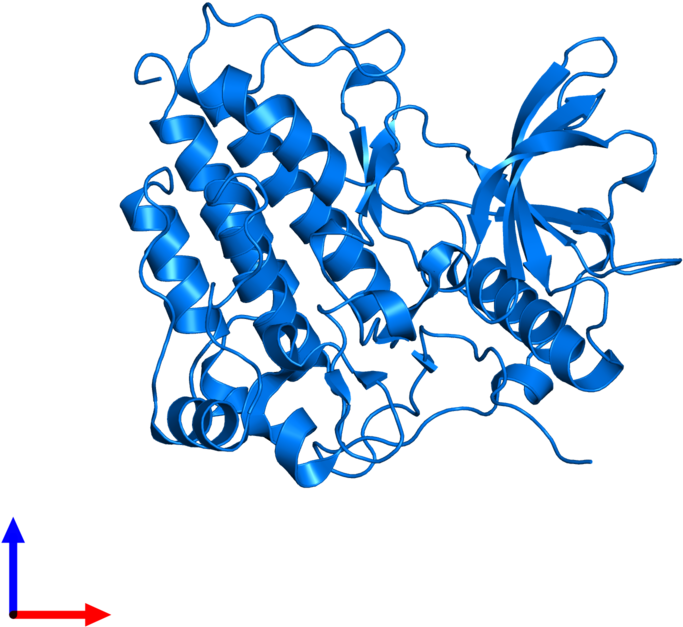 <div Class='caption-body'>pdb Entry 1t45 Contains 1 - Illustration (800x800)