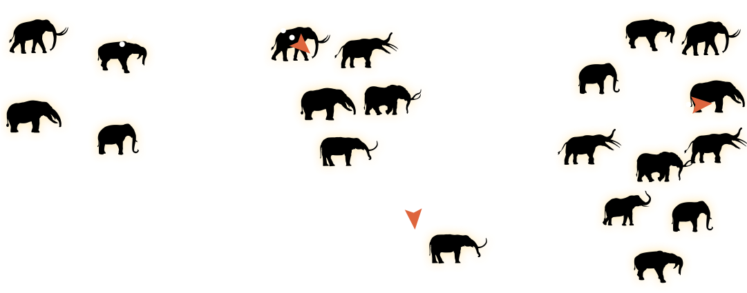 They Reached North America 16 Million Years Ago And - Herd (1080x620)