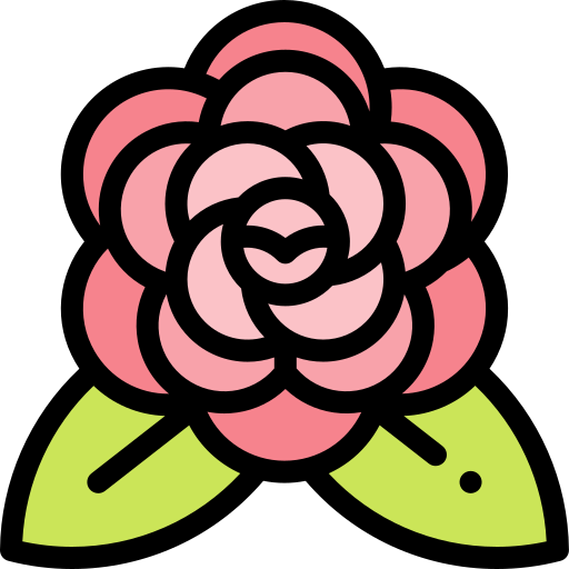 Camellia Free Icon - Camellia Free Icon (512x512)